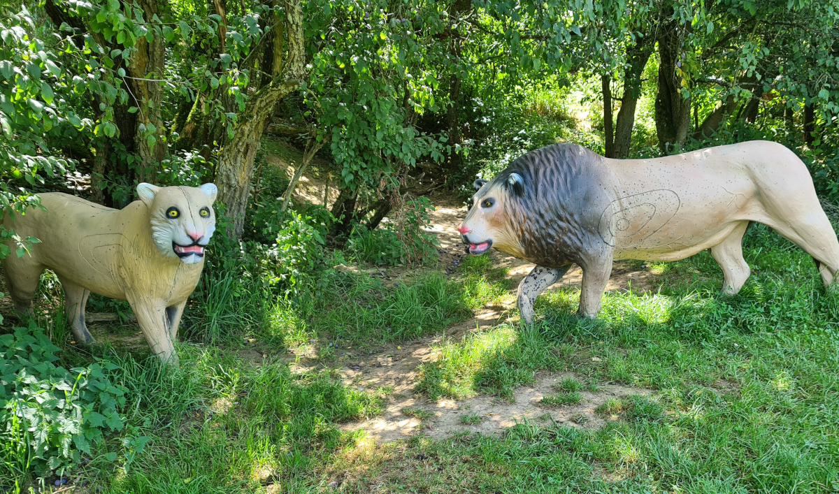 Colemen Traditionell intuitiv Bogenschießen, 3D Bogenparcours, Bogenparcours Ox Bow