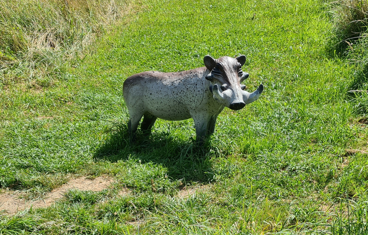Colemen Traditionell intuitiv Bogenschießen, 3D Bogenparcours, Bogenparcours Ox Bow