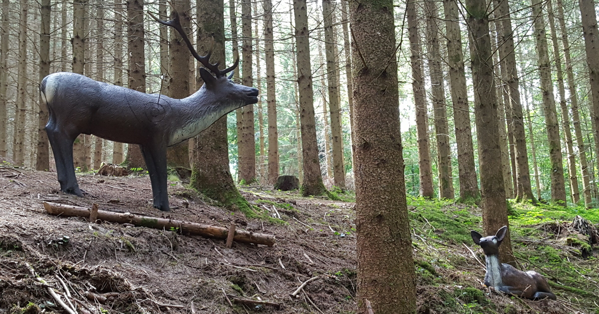 Colemen Traditionell intuitiv Bogenschießen, 3D Bogenparcours SC Diana