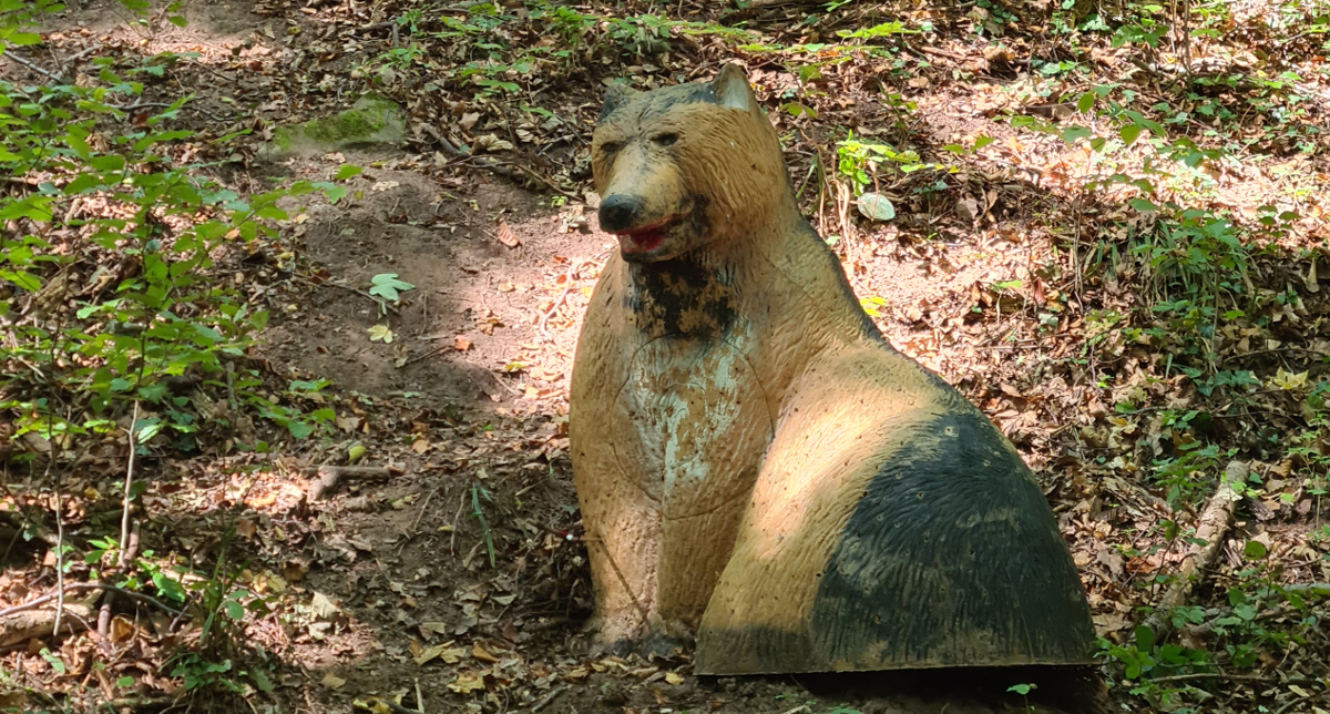 Colemen Traditionell intuitiv Bogenschießen, 3D Bogenparcours SC Diana