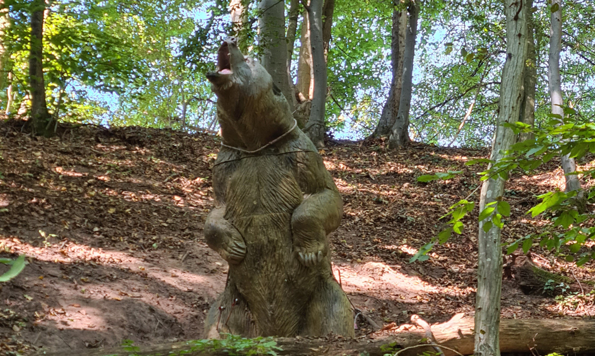 Colemen Traditionell intuitiv Bogenschießen, 3D Bogenparcours SC Diana