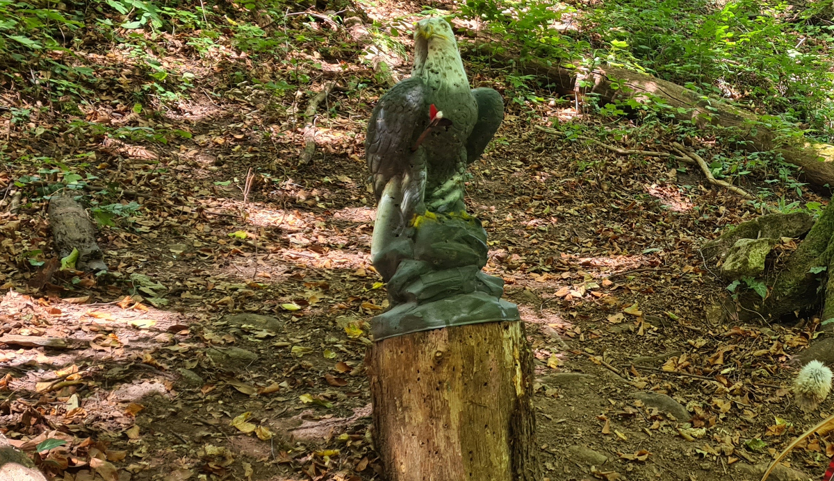 Colemen Traditionell intuitiv Bogenschießen, 3D Bogenparcours SC Diana