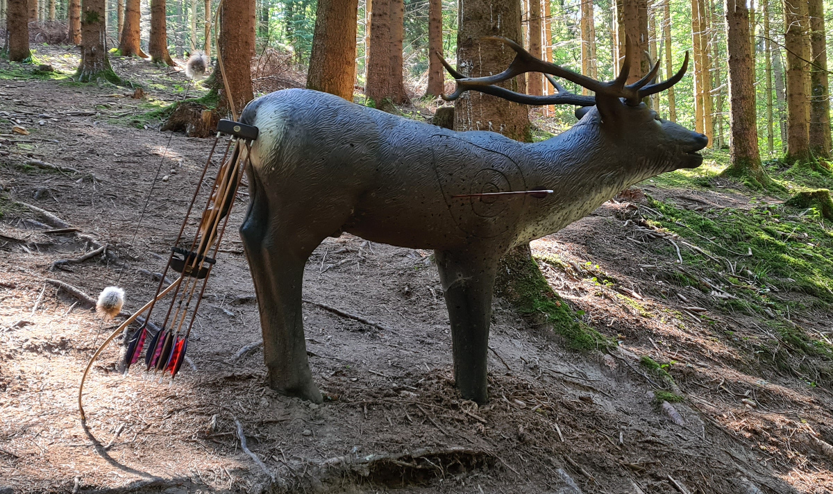 Colemen Traditionell intuitiv Bogenschießen, 3D Bogenparcours SC Diana