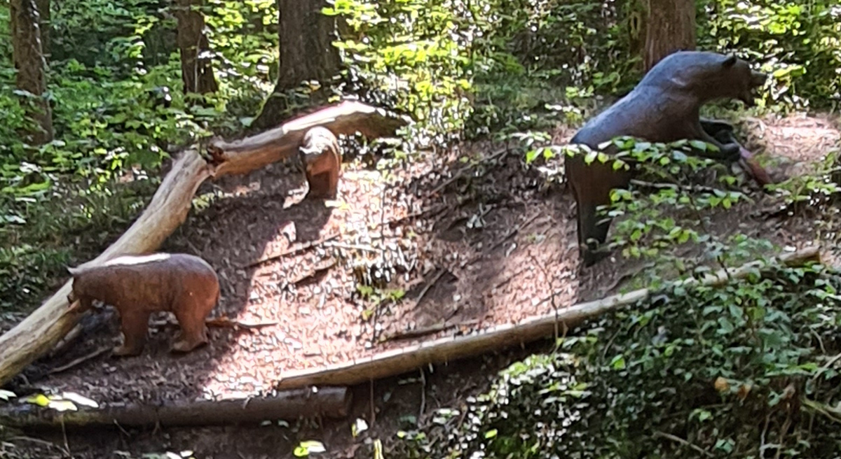 Colemen Traditionell intuitiv Bogenschießen, 3D Bogenparcours SC Diana