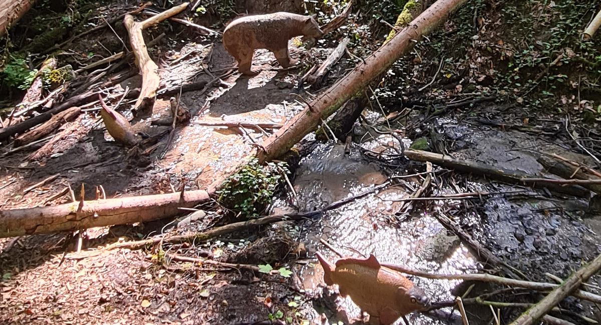 Colemen Traditionell intuitiv Bogenschießen, 3D Bogenparcours SC Diana
