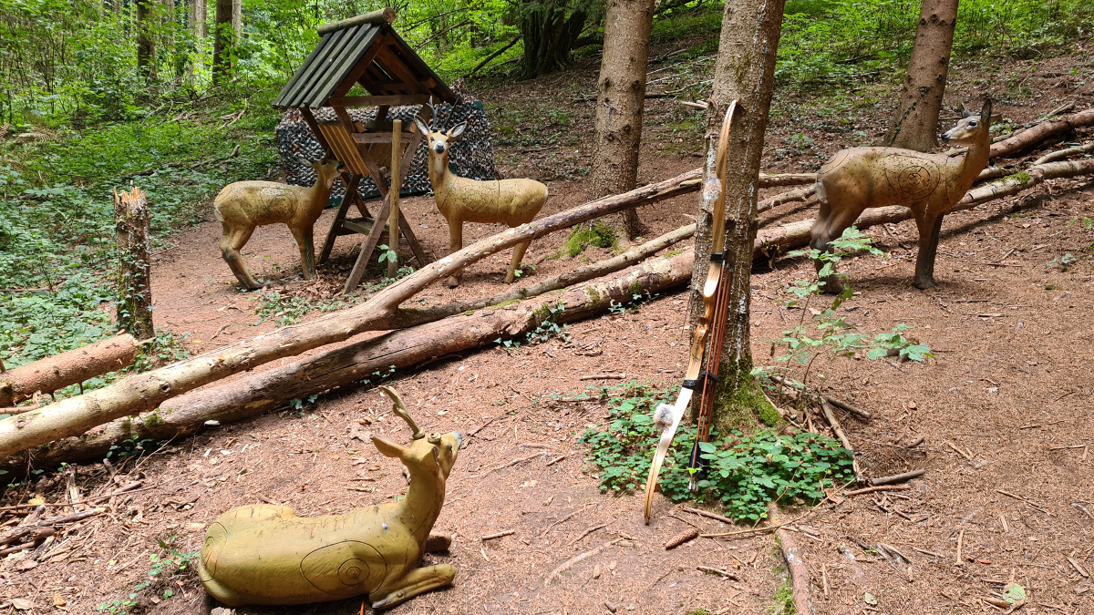 Colemen Traditionell intuitiv Bogenschießen, 3D Bogenparcours SC Diana