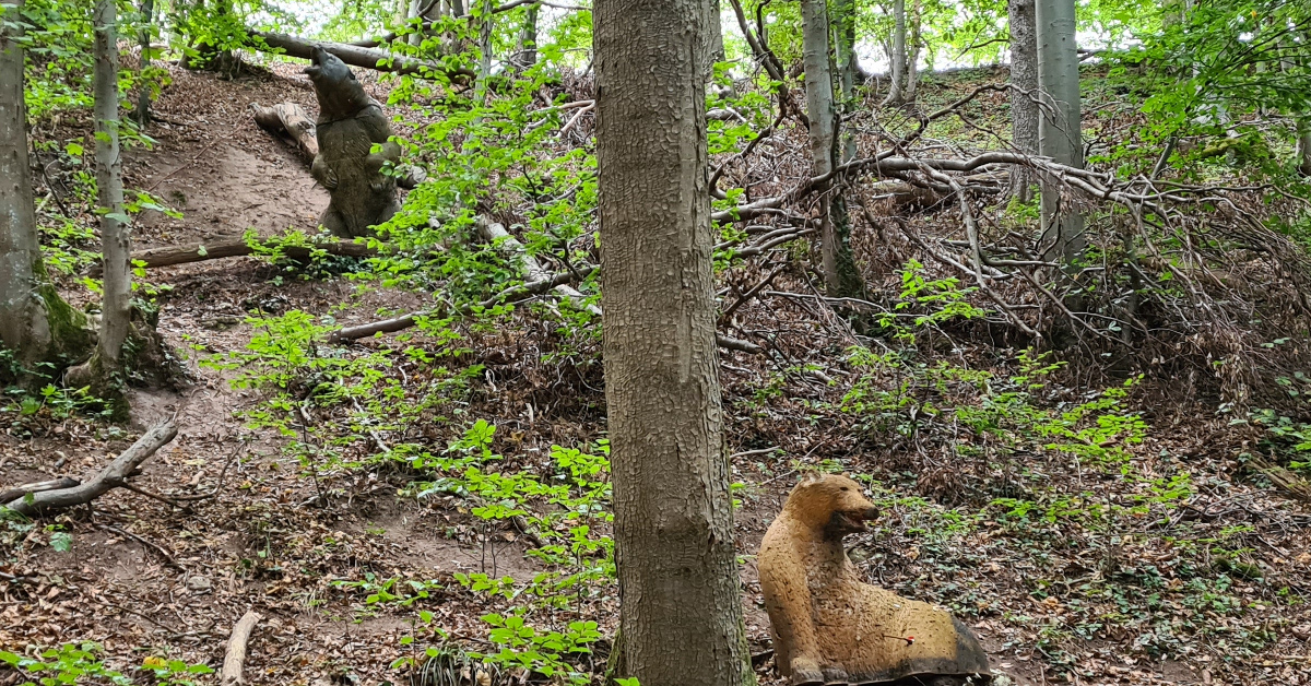Colemen Traditionell intuitiv Bogenschießen, 3D Bogenparcours SC Diana