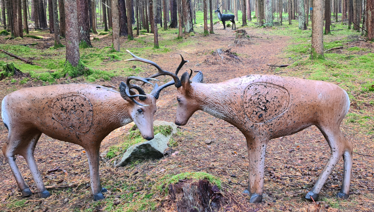 Colemen Traditionell intuitiv Bogenschießen, 3D Bogenparcours Schloß Guteneck