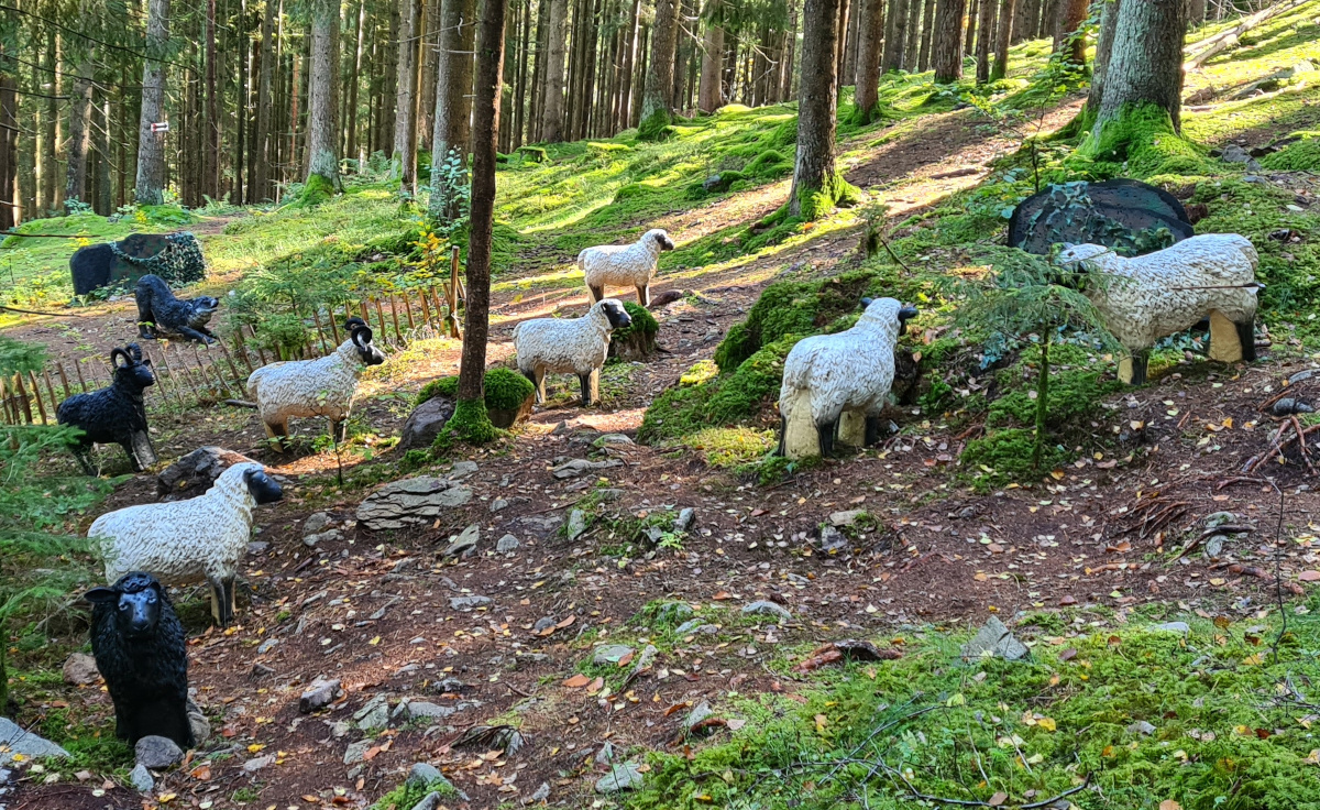 Colemen Traditionell intuitiv Bogenschießen, 3D Bogenparcours Schloß Guteneck
