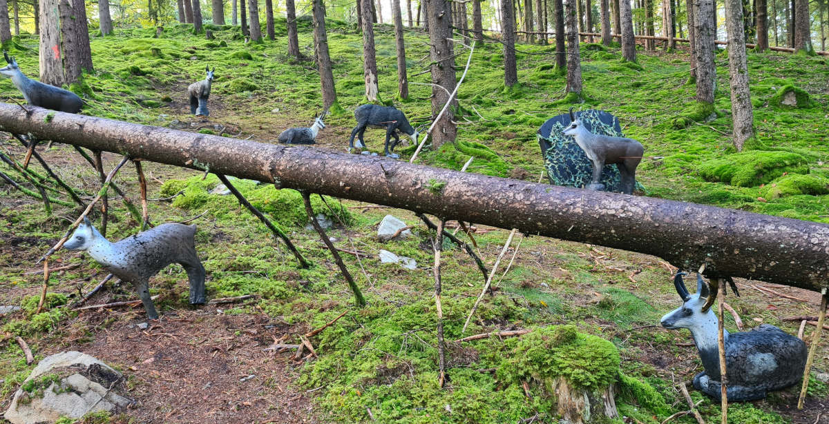 Colemen Traditionell intuitiv Bogenschießen, 3D Bogenparcours Schloß Guteneck