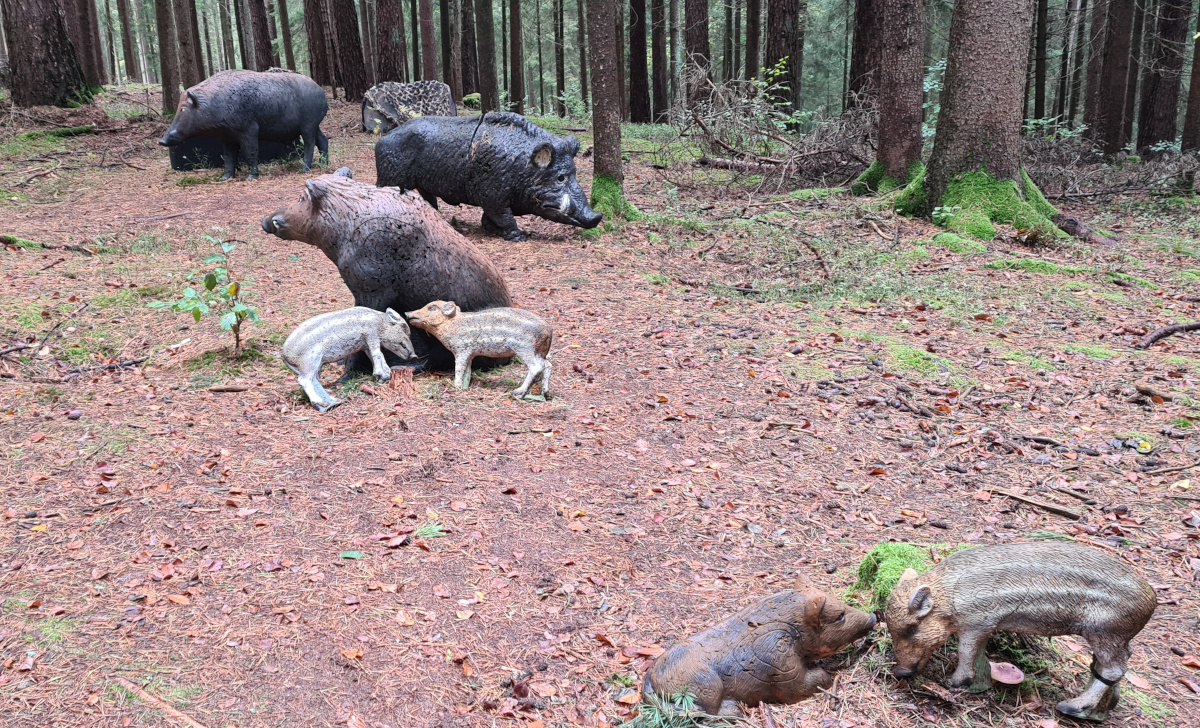 Colemen Traditionell intuitiv Bogenschießen, 3D Bogenparcours Schloß Guteneck