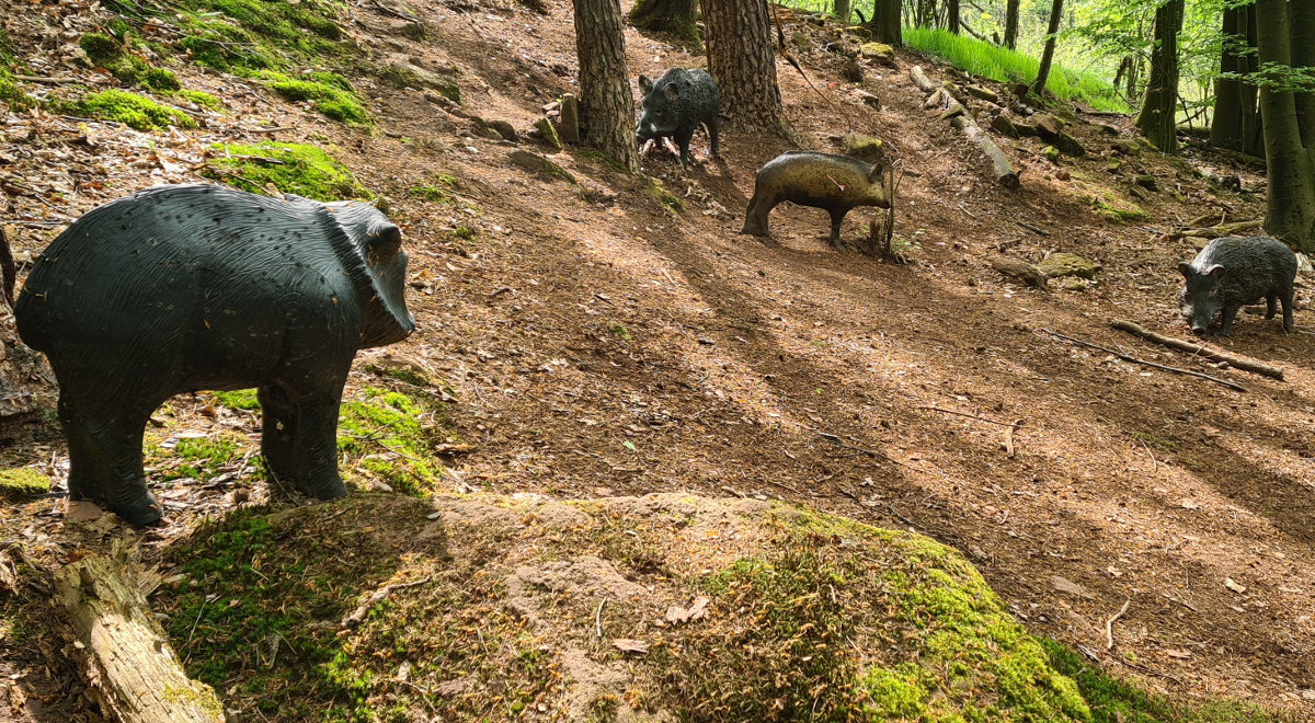 Colemen Traditionell intuitiv Bogenschießen, 3D Bogenparcours Stadtprozelten