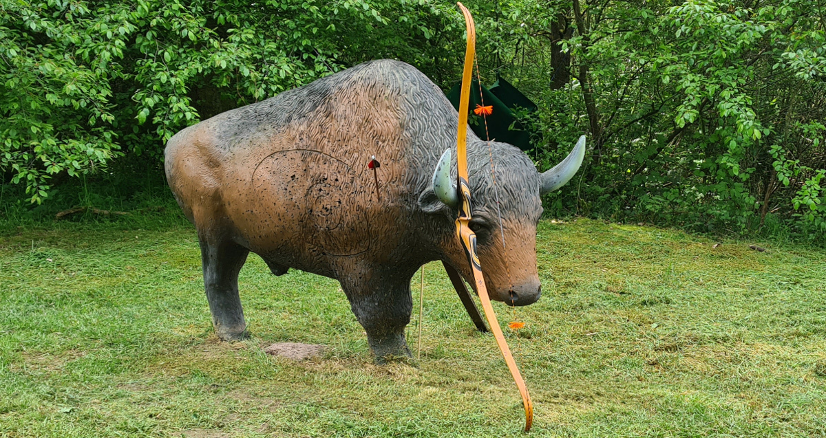 Colemen Traditionell intuitiv Bogenschießen, 3D Bogenparcours Stadtprozelten