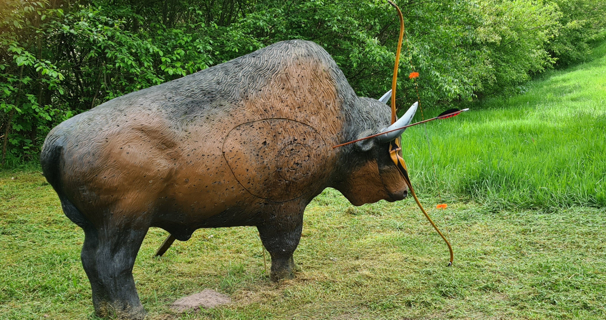 Colemen Traditionell intuitiv Bogenschießen, 3D Bogenparcours Stadtprozelten