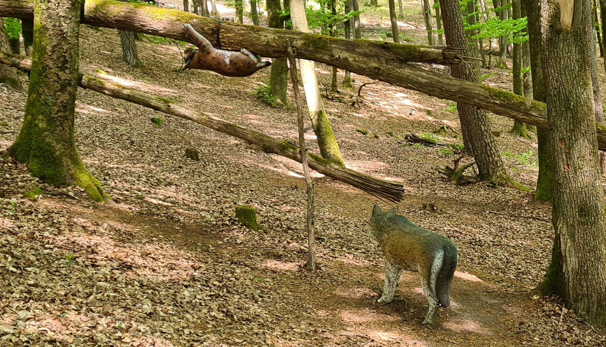 Colemen Traditionell intuitiv Bogenschießen, 3D Bogenparcours Stadtprozelten