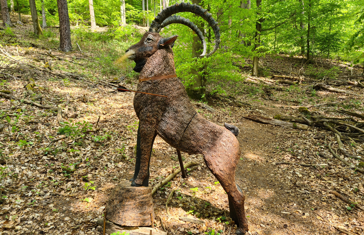 Colemen Traditionell intuitiv Bogenschießen, 3D Bogenparcours Stadtprozelten