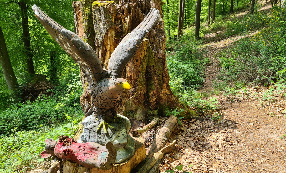 Colemen Traditionell intuitiv Bogenschießen, 3D Bogenparcours Stadtprozelten