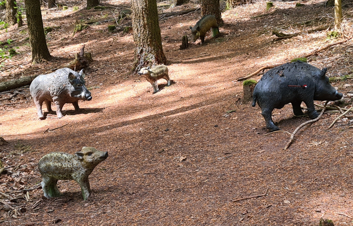 Colemen Traditionell intuitiv Bogenschießen, 3D Bogenparcours Stadtprozelten
