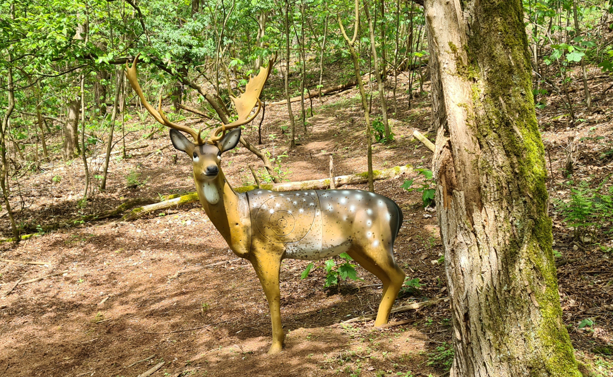 Colemen Traditionell intuitiv Bogenschießen, 3D Bogenparcours Stadtprozelten