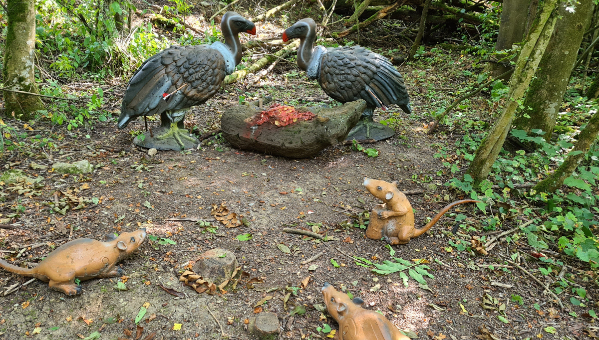Colemen Traditionell intuitiv Bogenschießen, 3D Bogenparcours Streutal Archers
