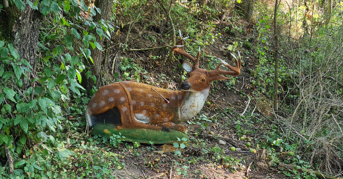 Colemen Traditionell intuitiv Bogenschießen, 3D Bogenparcours Streutal Archers
