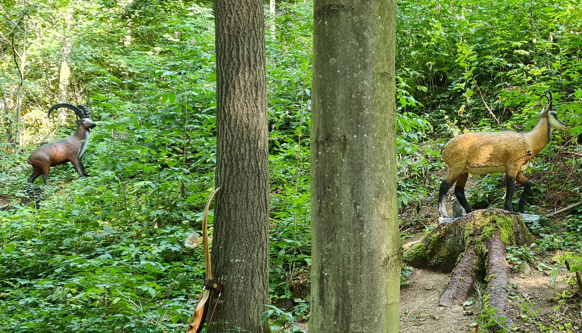 Colemen Traditionell intuitiv Bogenschießen, 3D Bogenparcours Streutal Archers