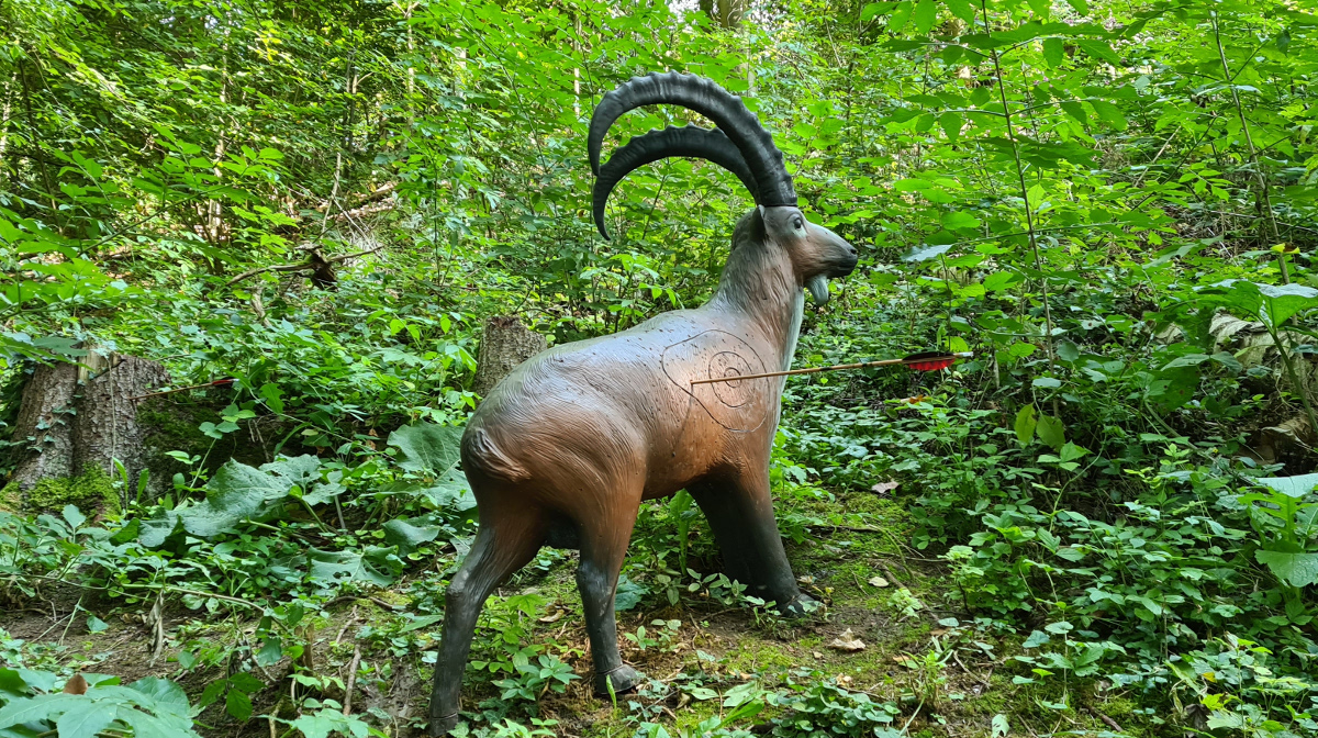 Colemen Traditionell intuitiv Bogenschießen, 3D Bogenparcours Streutal Archers