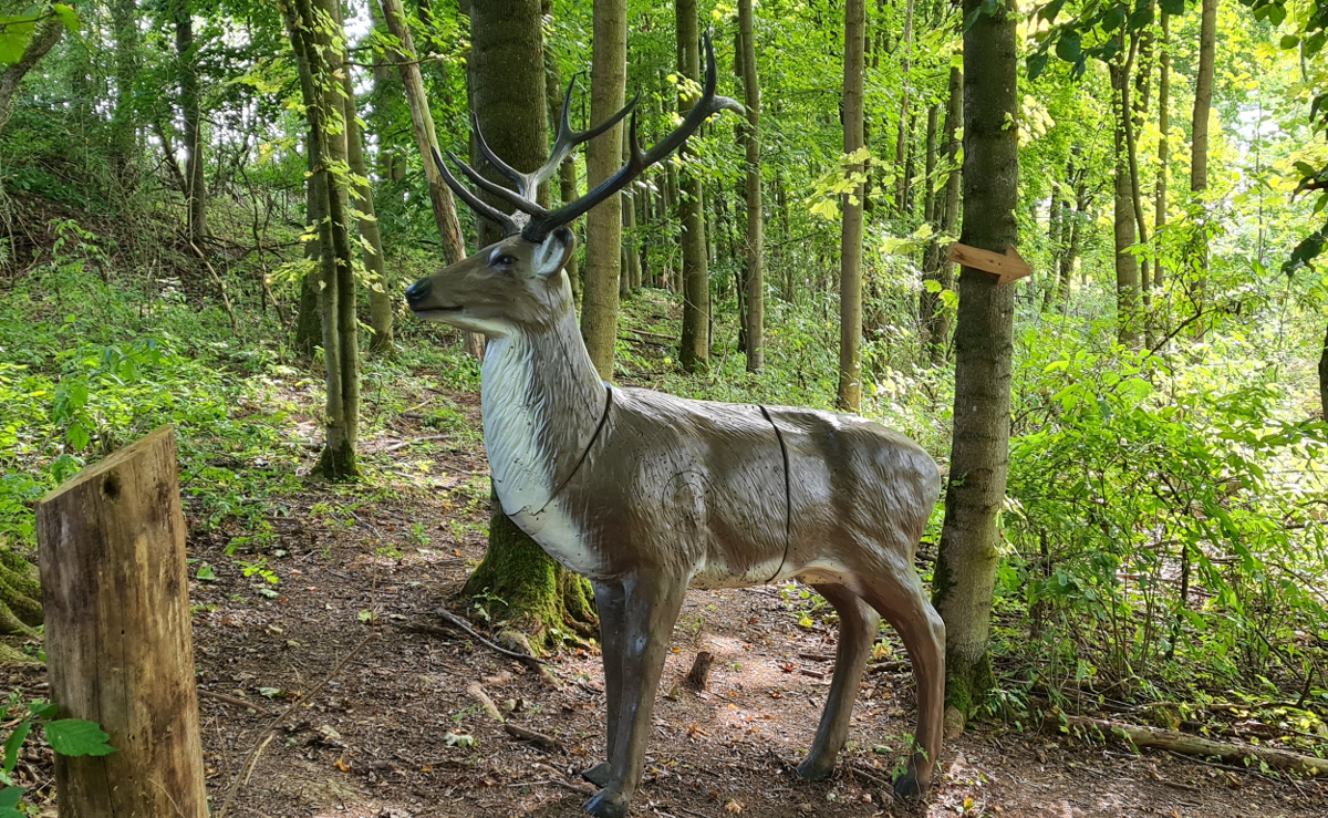 Colemen Traditionell intuitiv Bogenschießen, 3D Bogenparcours Streutal Archers