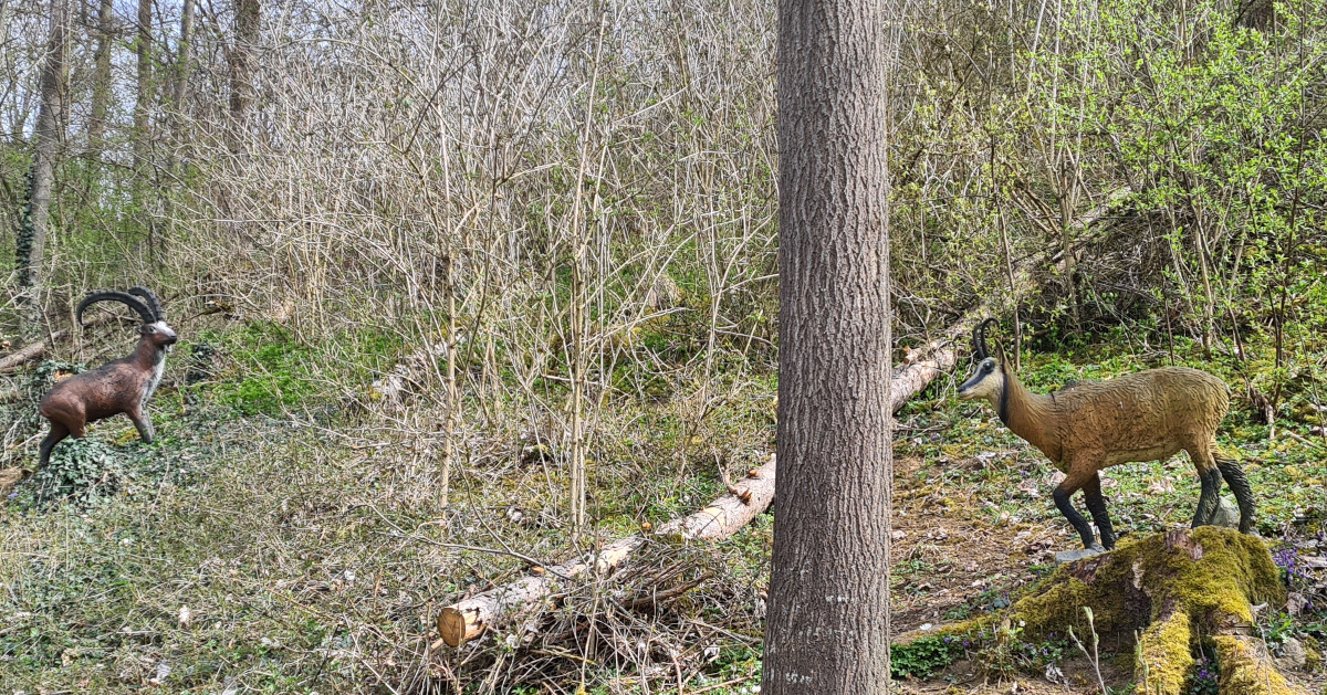 Colemen Traditionell intuitiv Bogenschießen, 3D Bogenparcours Streutal Archers