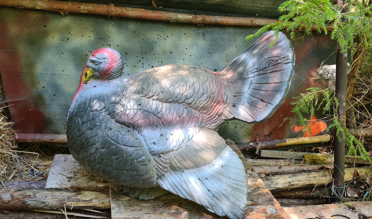 Colemen Traditionell intuitiv Bogenschießen, 3D Bogenparcours Tombows