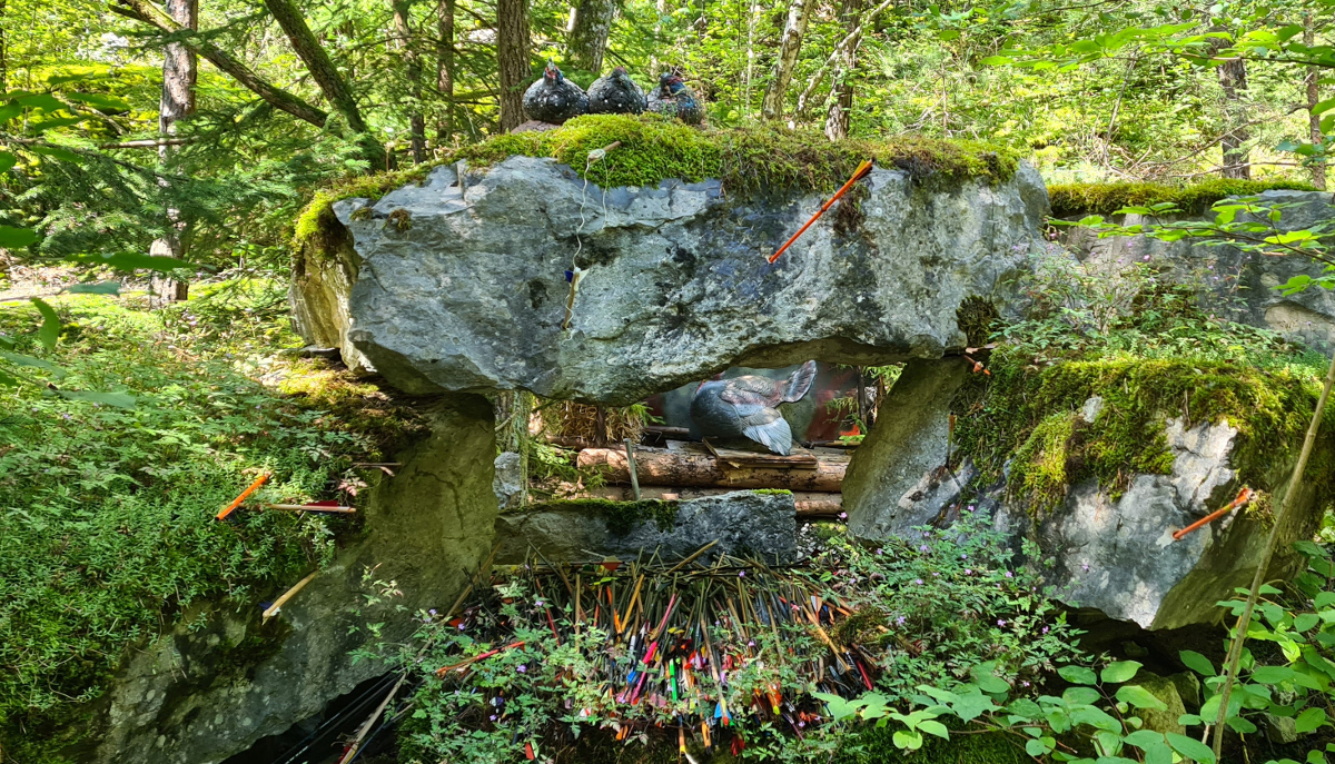 Colemen Traditionell intuitiv Bogenschießen, 3D Bogenparcours Tombows