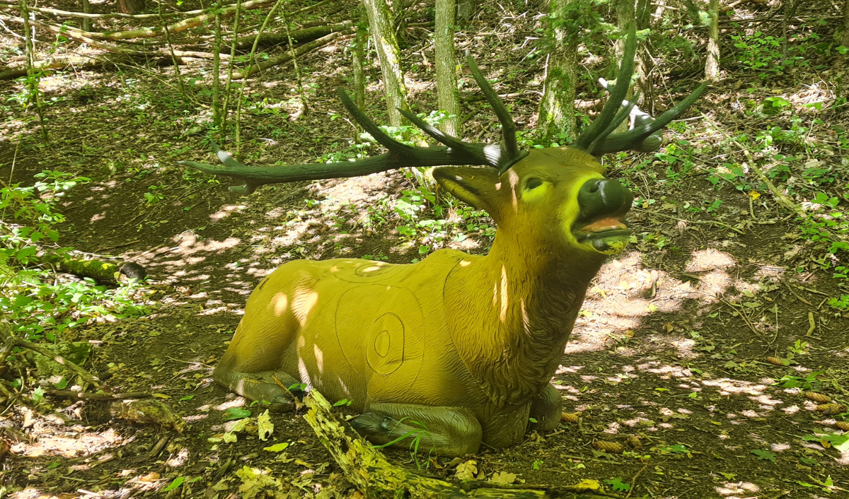 Colemen Traditionell intuitiv Bogenschießen, 3D Bogenparcours Tombows