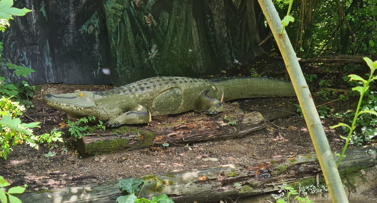 Colemen Traditionell intuitiv Bogenschießen, 3D Bogenparcours Tombows