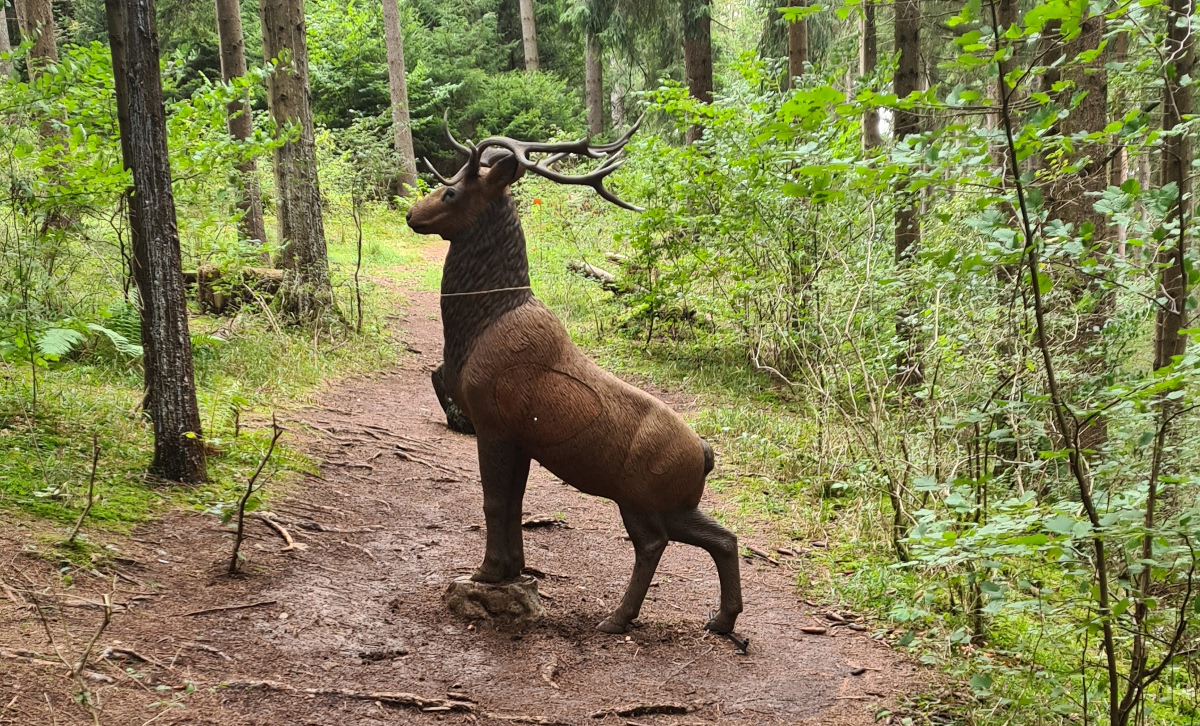 Colemen Traditionell intuitiv Bogenschießen, 3D Bogenparcours Waldläufer