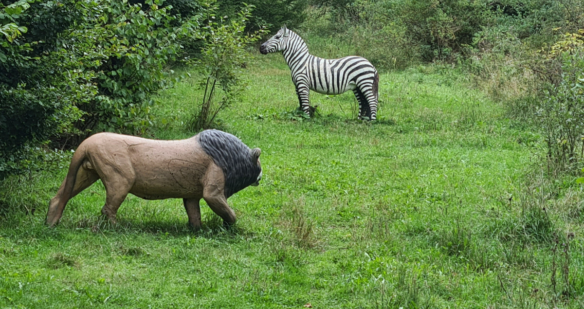 Colemen Traditionell intuitiv Bogenschießen, 3D Bogenparcours Waldläufer