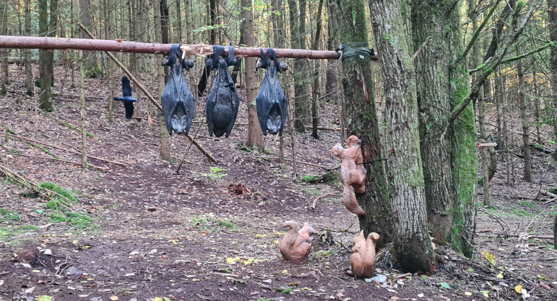 Colemen Traditionell intuitiv Bogenschießen, 3D Bogenparcours Wolfertsfeld
