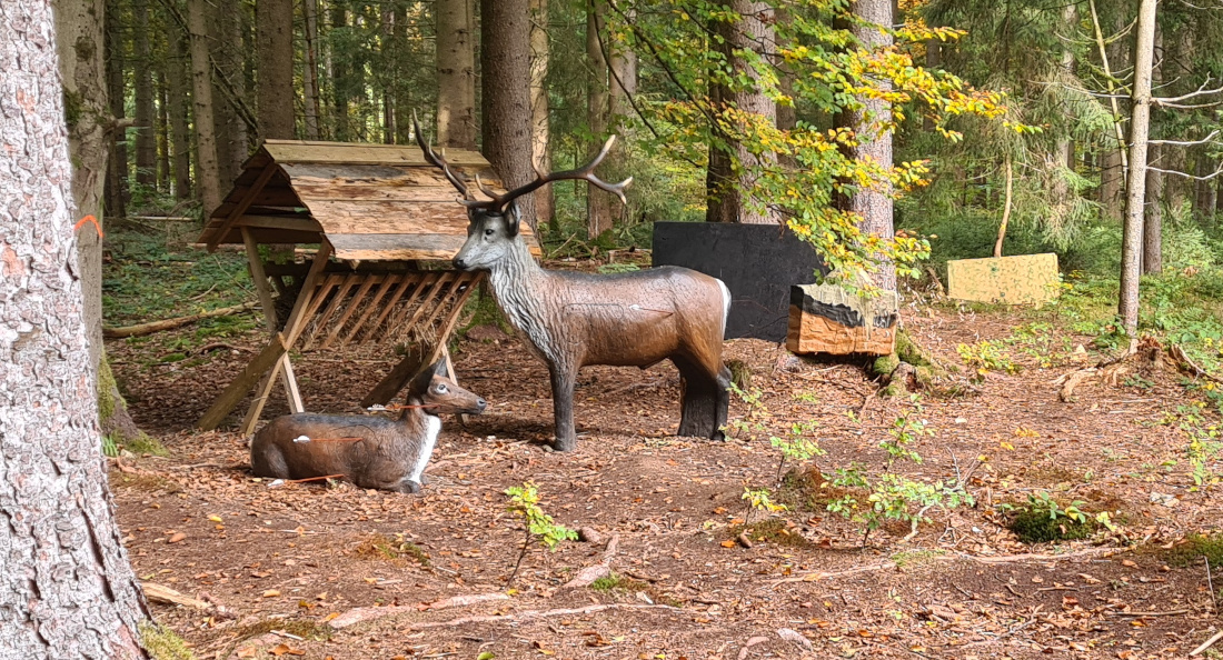 Colemen Traditionell intuitiv Bogenschießen, 3D Bogenparcours Wolfertsfeld