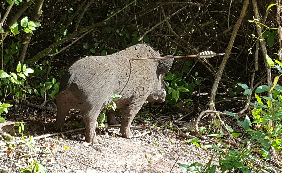 Colemen Traditionell intuitiv Bogenschießen, 3D Bogenparcours Wolfsschlucht