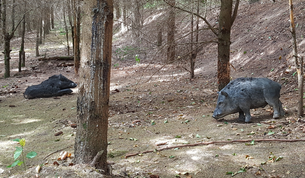 Colemen Traditionell intuitiv Bogenschießen, 3D Bogenparcours Wolfsschlucht
