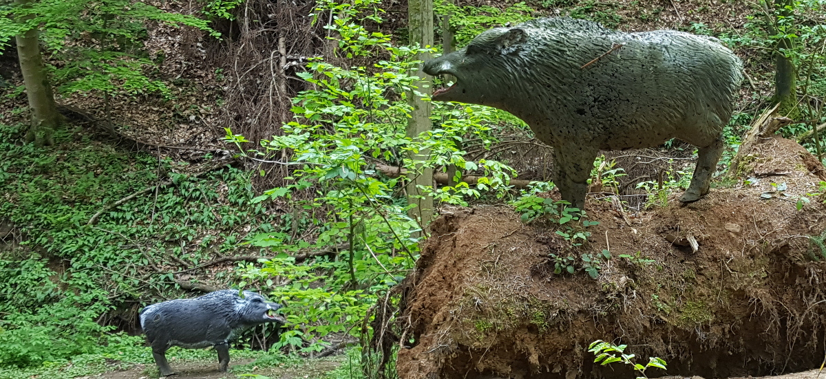 3D Bogenschießen, Bogenparcours Donzdorf