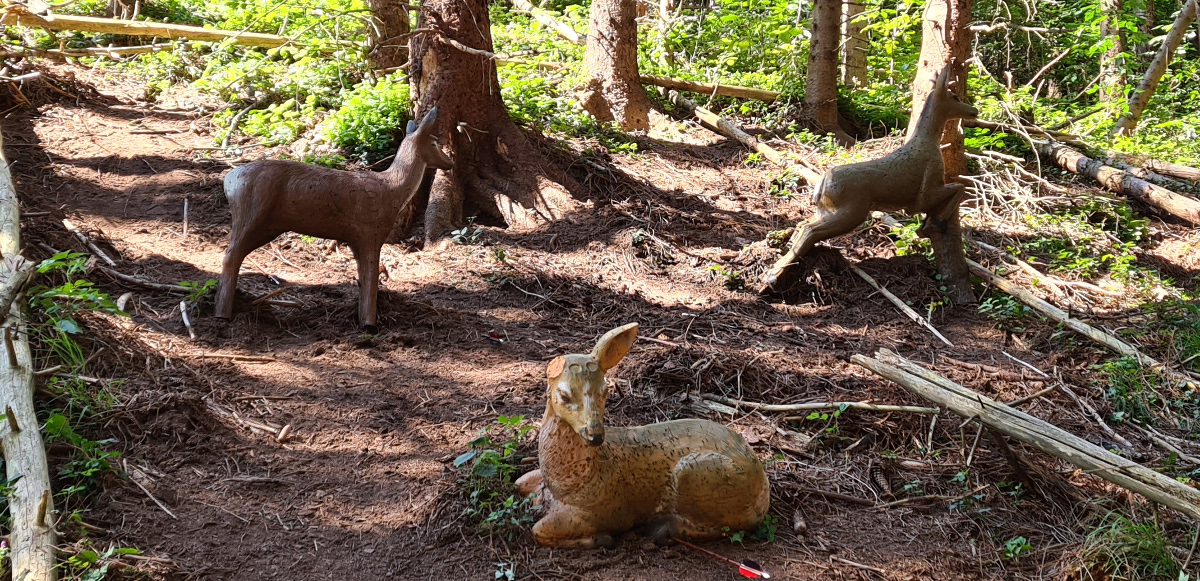 Colemen Traditionell intuitiv Bogenschießen, 3D Bogenparcours SC Diana