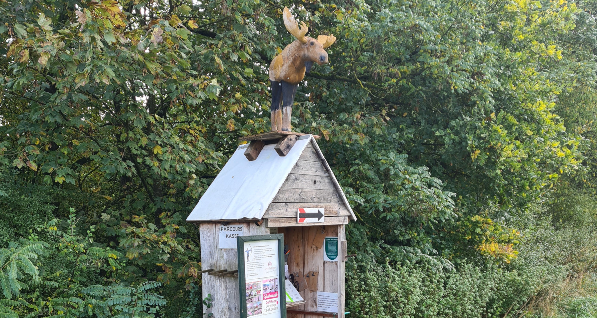 Colemen Traditionell intuitiv Bogenschießen, 3D Bogenparcours Schloss Guteneck