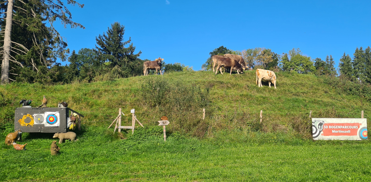3D Bogenschießen, Bogenparcours Martinszell